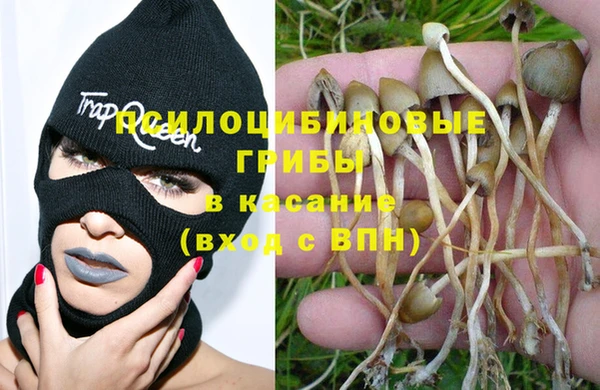 a pvp Алексеевка