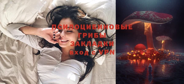 амф Алзамай