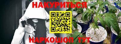 гашик Нарткала