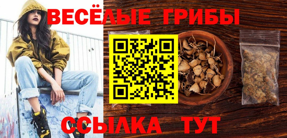 Псилоцибиновые грибы Magic Shrooms Бирск