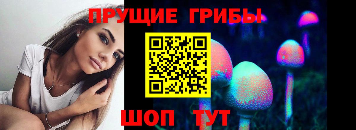 Псилоцибиновые грибы прущие грибы  Галлюциногенные грибы MAGIC MUSHROOMS  Бирск  Вход с VPN 